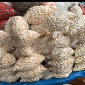 CAURIS MÂLES ET FEMELLES